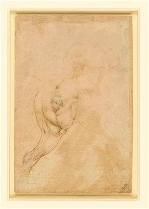 Leonardo da Vinci - RCIN 912312, Recto The hind-quarters of a horse, and a sketch of a horse