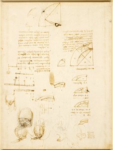 Leonardo da Vinci - RCIN 919105, Notes and diagrams on geometry, and sketches of the male genito-urinary system c. 1508-10