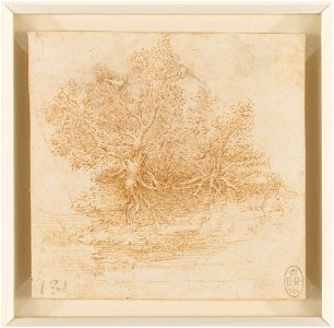 Leonardo da Vinci - RCIN 912402, Two willow trees (Salix sp.) c.1511-13