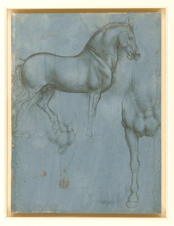 Leonardo da Vinci - RCIN 912321, Studies of a horse c.1490