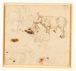 Leonardo da Vinci - RCIN 912362, An ox and ass, and other studies of asses c.1478-80