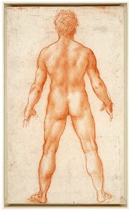 Leonardo da Vinci - RCIN 912596, A standing male nude c.1504-6