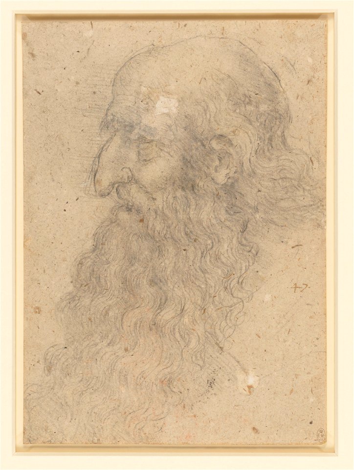 Leonardo da Vinci - RCIN 912500, The head of an old bearded man in profile c.1519