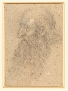 Leonardo da Vinci - RCIN 912500, The head of an old bearded man in profile c.1519