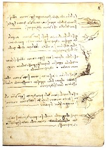 Leonardo da Vinci - Codex on the flight of birds - WGA12847