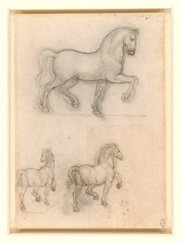 Leonardo da Vinci - RCIN 912344, Designs for an equestrian monument c.1517-18