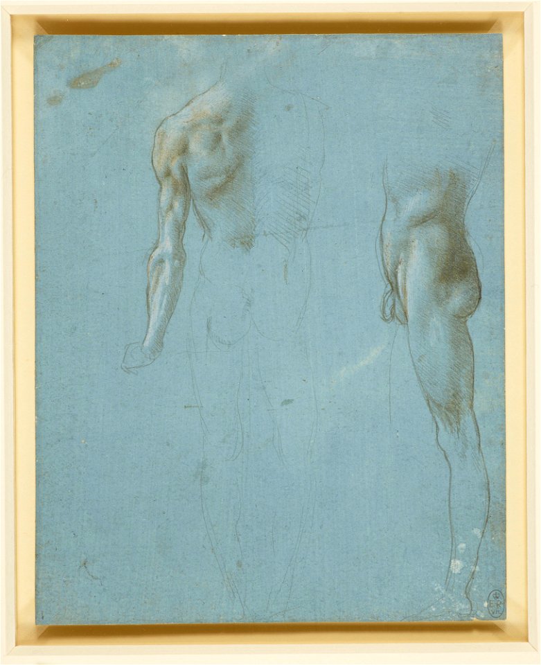 Leonardo da Vinci - RCIN 912637, Two studies of a standing male nude c.1490