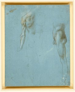 Leonardo da Vinci - RCIN 912637, Two studies of a standing male nude c.1490