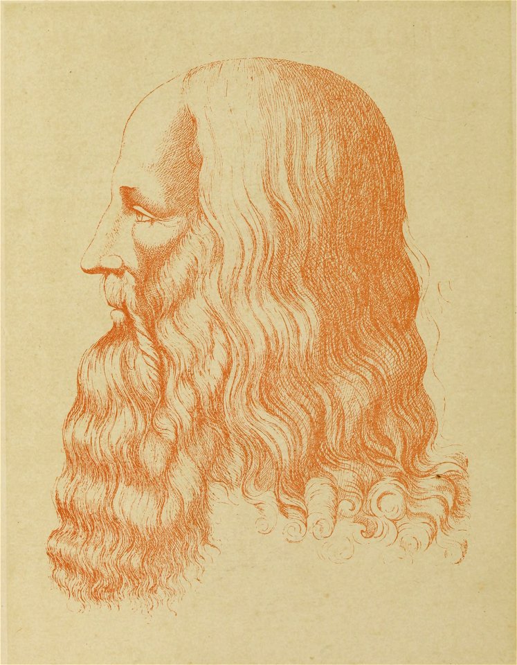 Leonardo - Trattato della pittura, 1890 (page 6 crop)