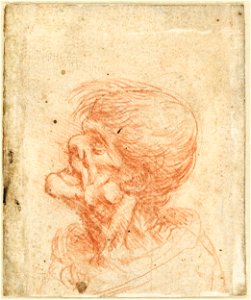 Leonardo da Vinci - Kopf eines alten Mannes oder einer alten Frau im Profil, um 1495 - 1505, 21482