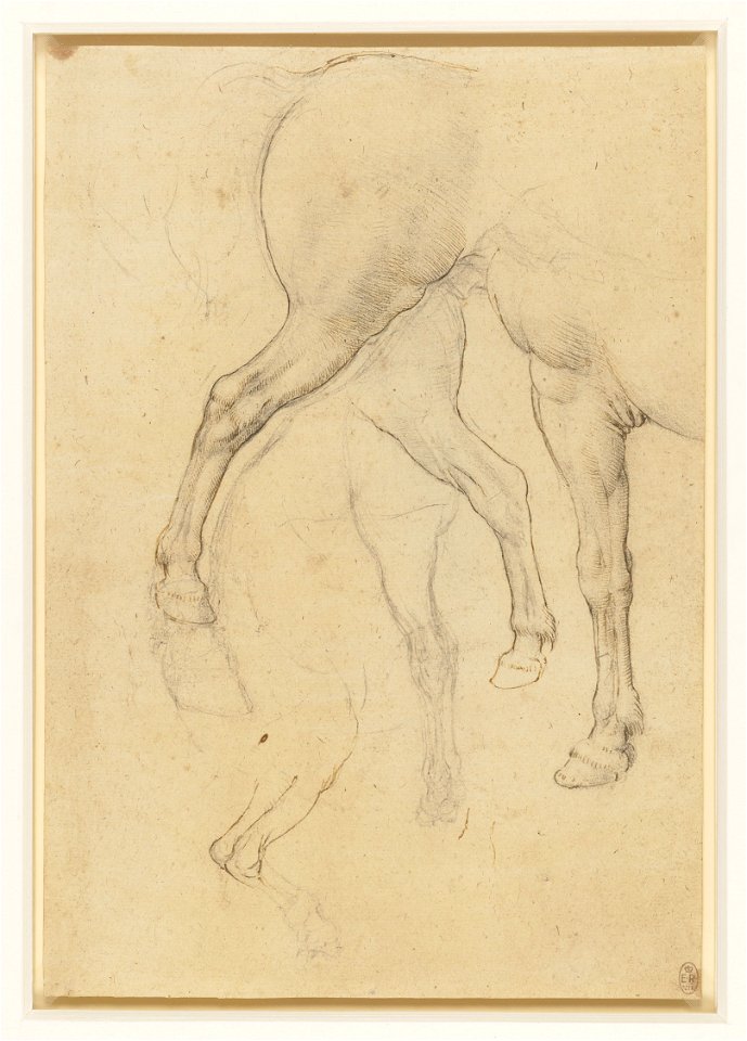Leonardo da Vinci - RCIN 912309, Recto Horses' legs