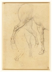 Leonardo da Vinci - RCIN 912309, Recto Horses' legs