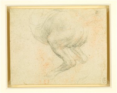 Leonardo da Vinci - RCIN 912335, The hind-quarters of a rearing horse c.1503-4
