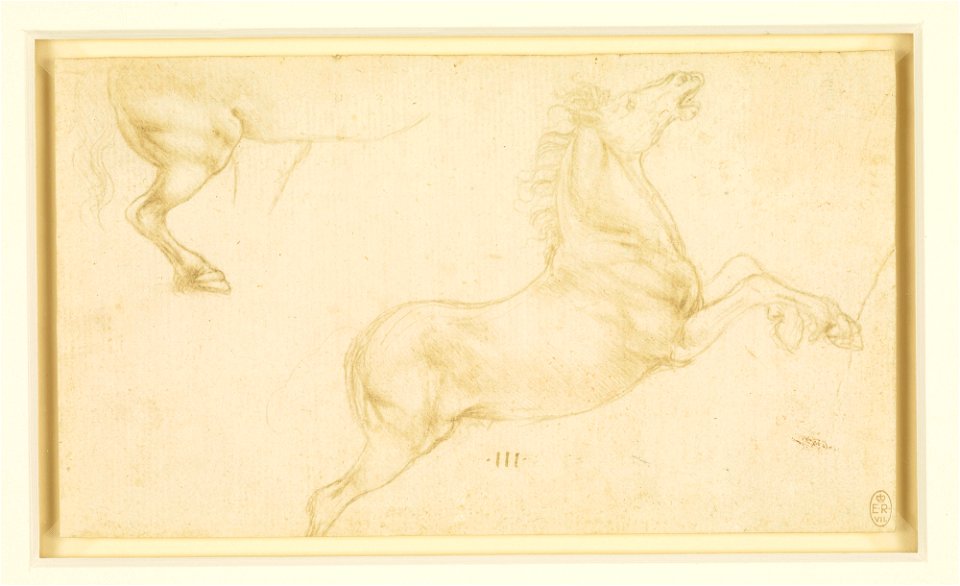 Leonardo da Vinci - RCIN 912315, Studies of horses c.1480-81