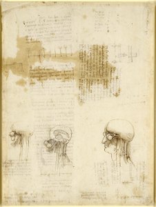 Leonardo da Vinci - RCIN 912602, Recto The nerve pathways to the brain