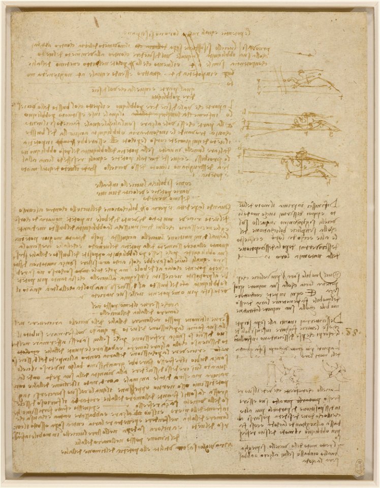 Leonardo da Vinci - RCIN 912657, Notes on bird flight c.1511-13