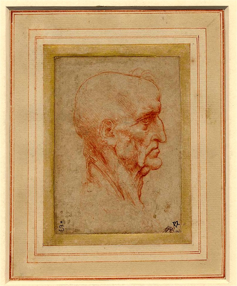 Leonardo da Vinci - 1900,0824.106, Head of a balding man in profile to right
