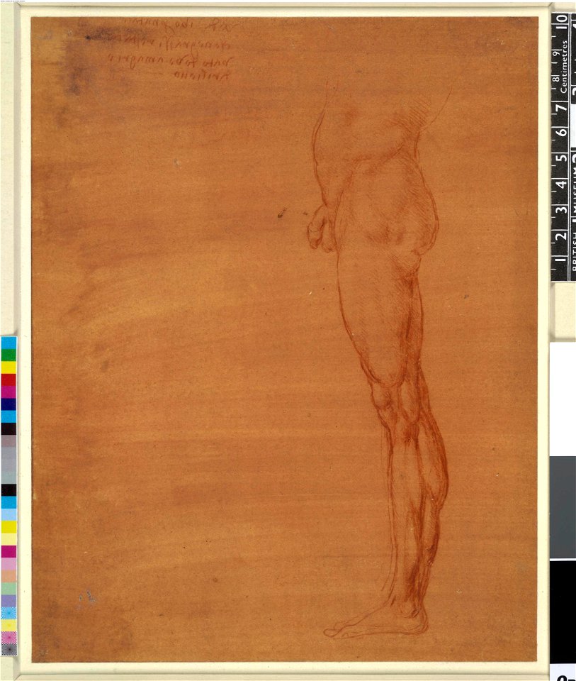 Leonardo da Vinci - 1886,0609.41, The abdomen and left leg of a nude man standing in profile
