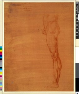 Leonardo da Vinci - 1886,0609.41, The abdomen and left leg of a nude man standing in profile
