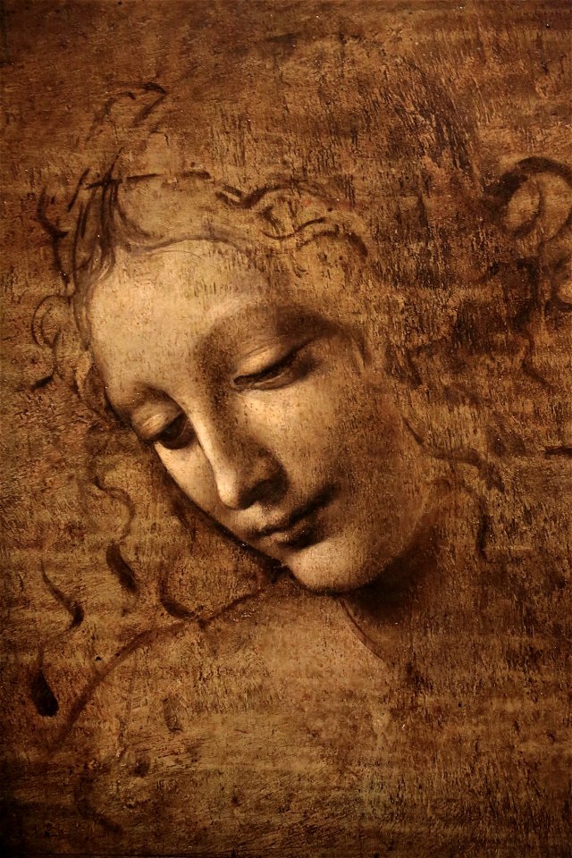 Leonardo da vinci - La scapigliata
