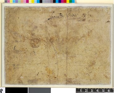 Leonardo da Vinci - 1952,1011.2, v, A horseman fighting a dragon