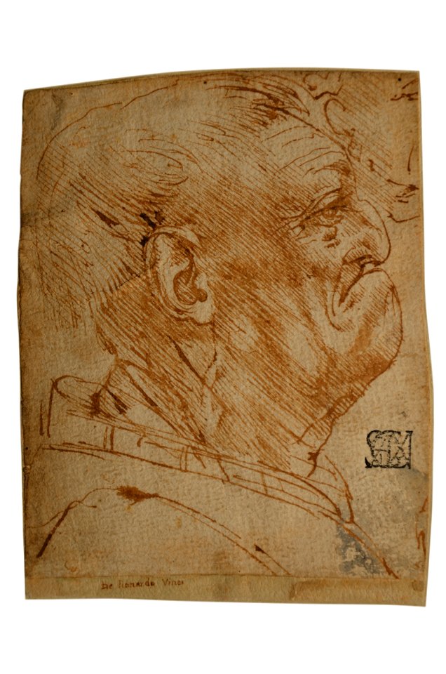 Leonardo da Vinci - Male Head, in Profile, 1528