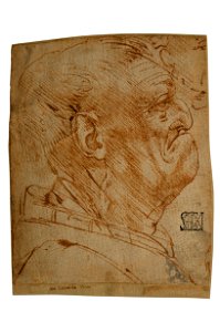 Leonardo da Vinci - Male Head, in Profile, 1528