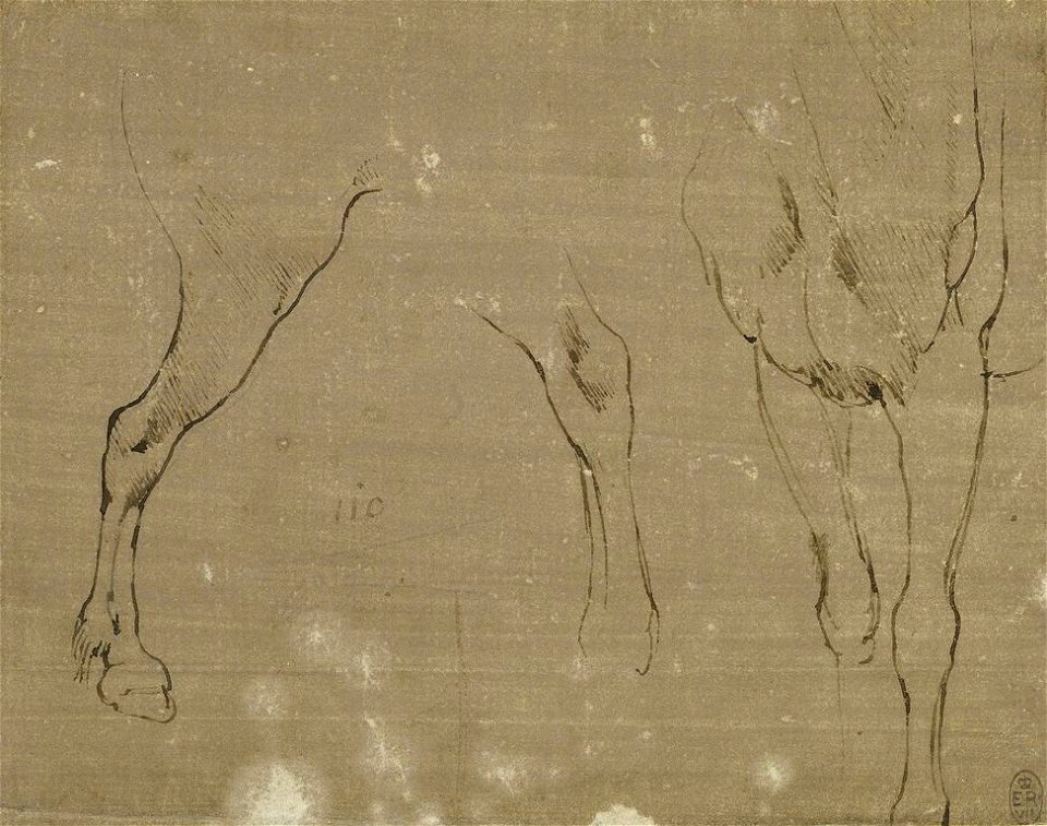 Leonardo da Vinci - RCIN 912307, Recto Horses' legs