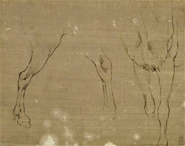 Leonardo da Vinci - RCIN 912307, Recto Horses' legs