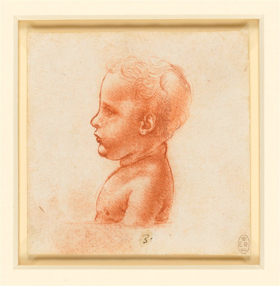 Leonardo da Vinci - RCIN 912519, The bust of a child in profile c.1500