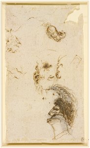 Leonardo da Vinci - RCIN 912329, A design for a helmet, the head of a youth, and a fallen horse c.1517-18