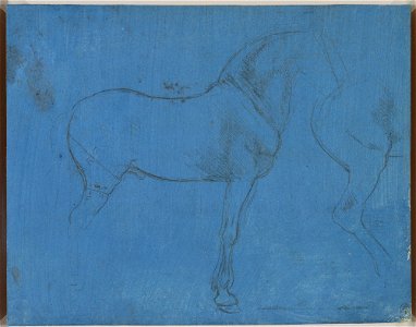 Leonardo da Vinci - RCIN 912320, A horse in profile with a few measurements c.1490. Free illustration for personal and commercial use.