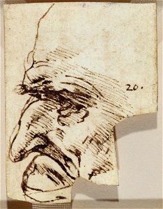 Leonardo da Vinci - RCIN 912476, Recto A fragment of the head of an old man in profile