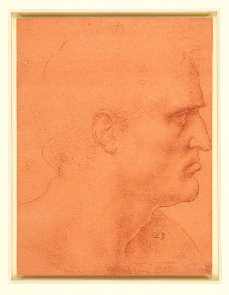 Leonardo da Vinci - RCIN 912548, The head of St Bartholomew c.1495 or later