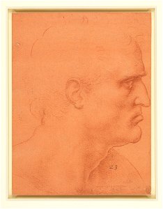Leonardo da Vinci - RCIN 912548, The head of St Bartholomew c.1495 or later
