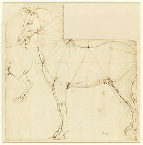 Leonardo da Vinci - RCIN 912318, A horse with lines of proportion c.1480