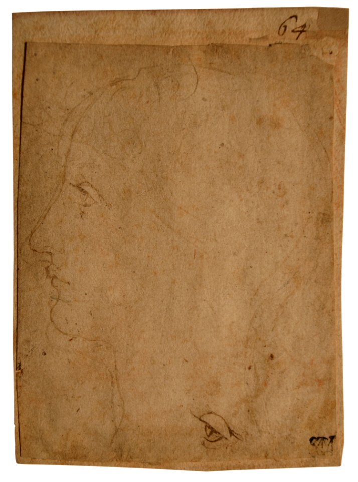 Leonardo da Vinci - Head of a Woman; an Eye, 1531