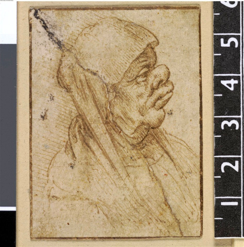 Leonardo da Vinci - Pp,1.37, A caricature of an old woman