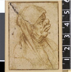 Leonardo da Vinci - Pp,1.37, A caricature of an old woman