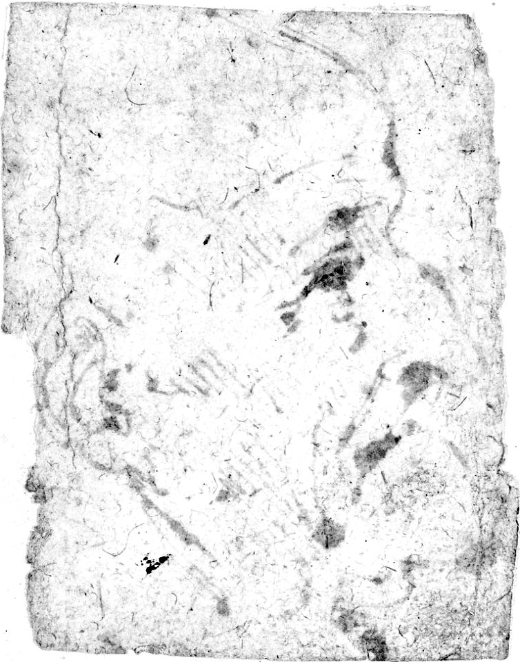 Leonardo da Vinci - Head of an Old Man, in Profile, 943