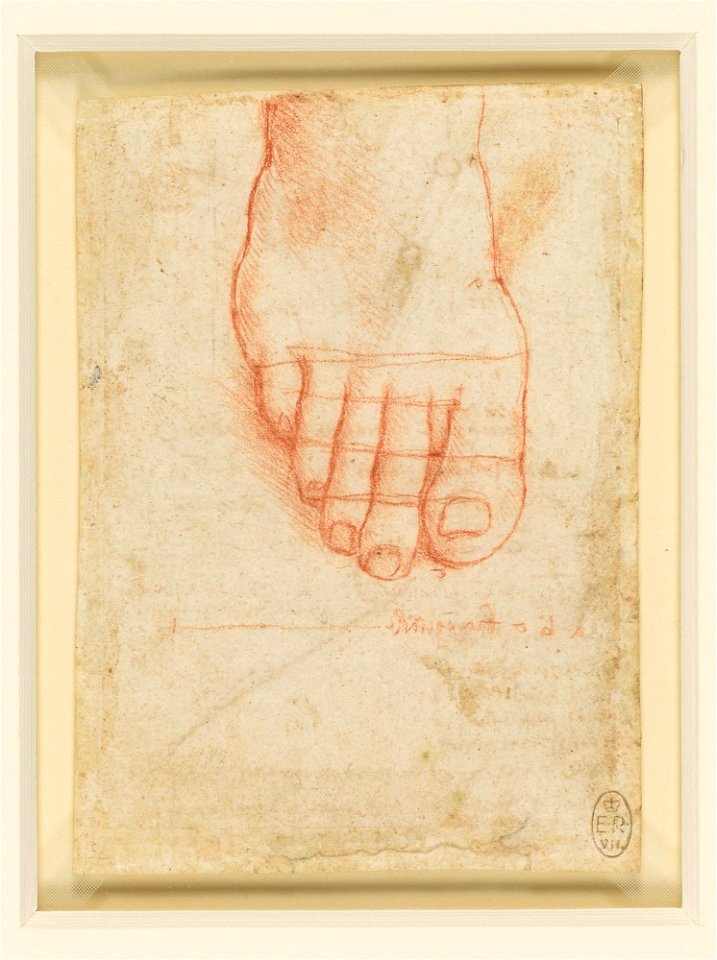 Leonardo da Vinci - RCIN 912635, Recto A right foot with lines of proportion