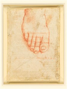 Leonardo da Vinci - RCIN 912635, Recto A right foot with lines of proportion