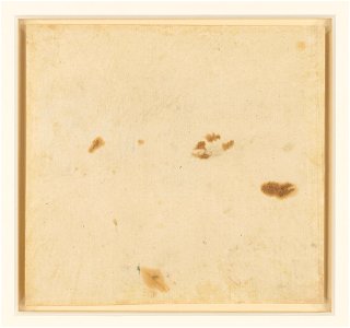 Leonardo da Vinci - RCIN 912362, v, An ox and ass, and other studies of asses c.1478-80