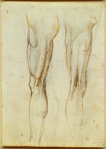Leonardo da Vinci - RCIN 919036, Recto The muscles of the thigh