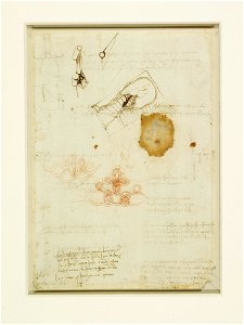 Leonardo da Vinci - RCIN 912351, Verso A mould for casting the Sforza monument, decorative knots, and a note on the production of salt c.1492-4