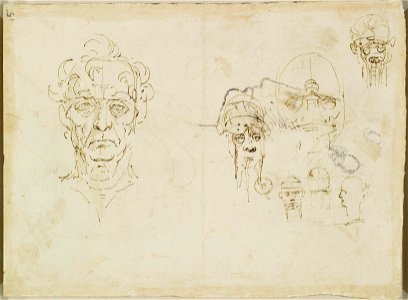 Leonardo da Vinci - RCIN 912603, Verso Studies of the head c.1490-92