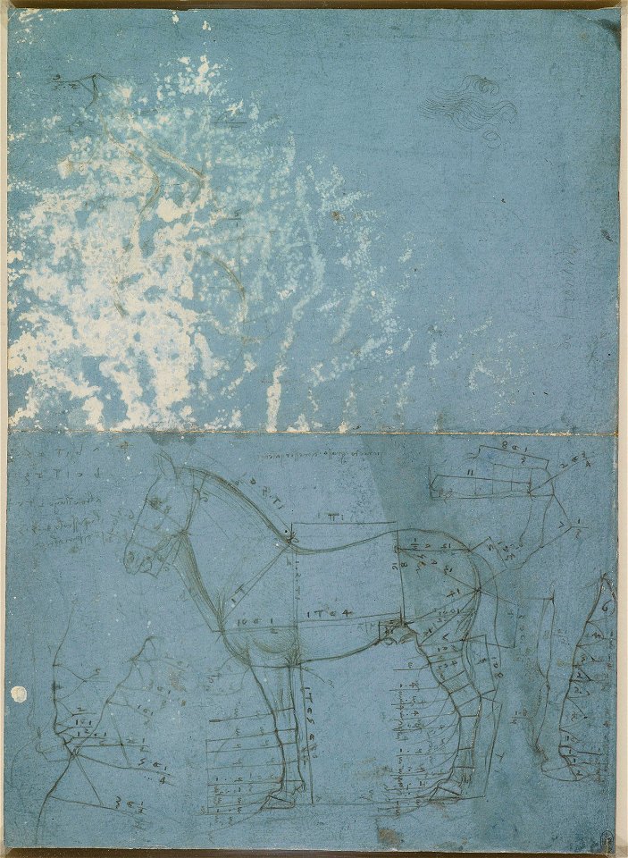 Leonardo da Vinci - RCIN 912319, A horse in left profile, with measurements c.1490