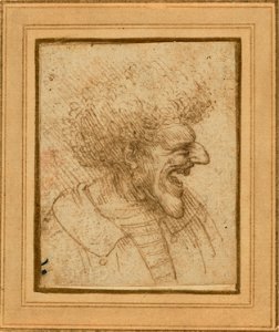 Leonardo da Vinci - Caricature of a Man with Bushy Hair, 84.GA.647, about 1495