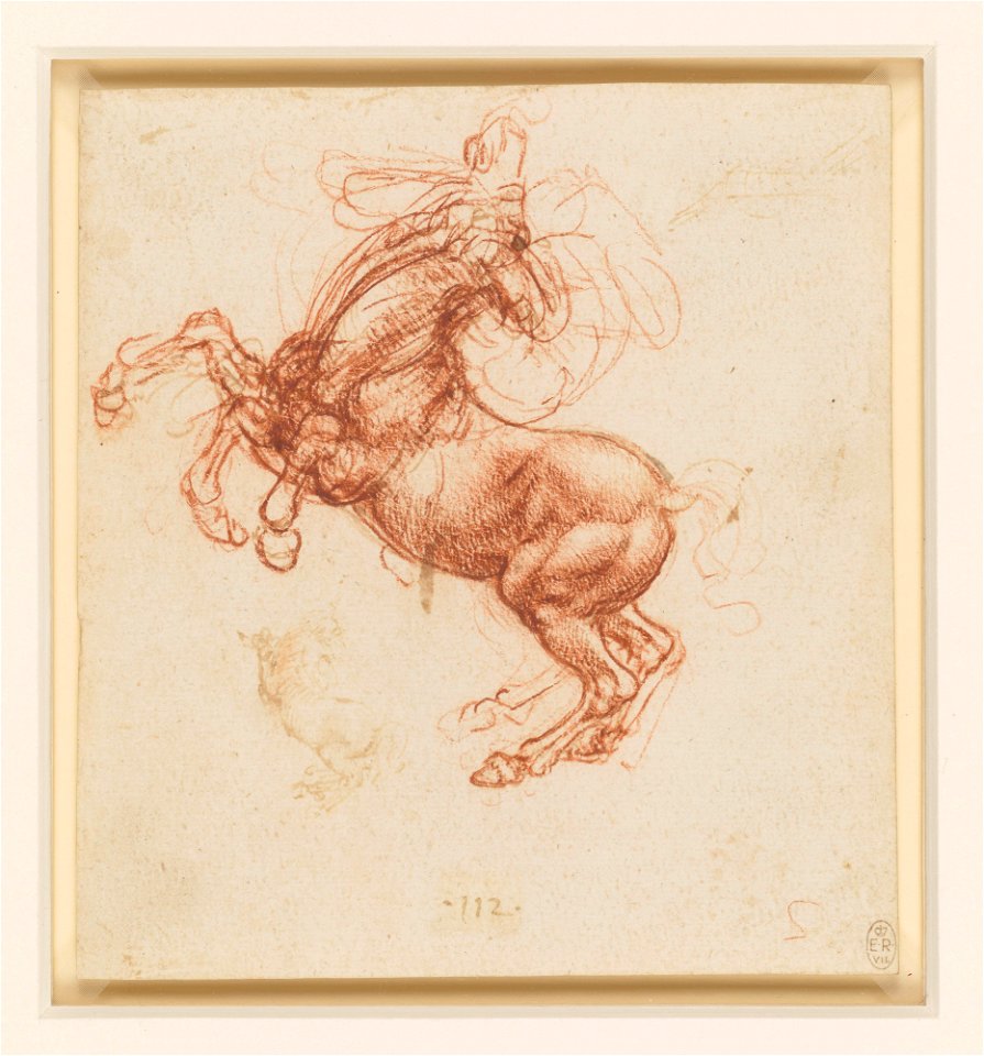 Leonardo da Vinci - RCIN 912336, A rearing horse c.1503-4