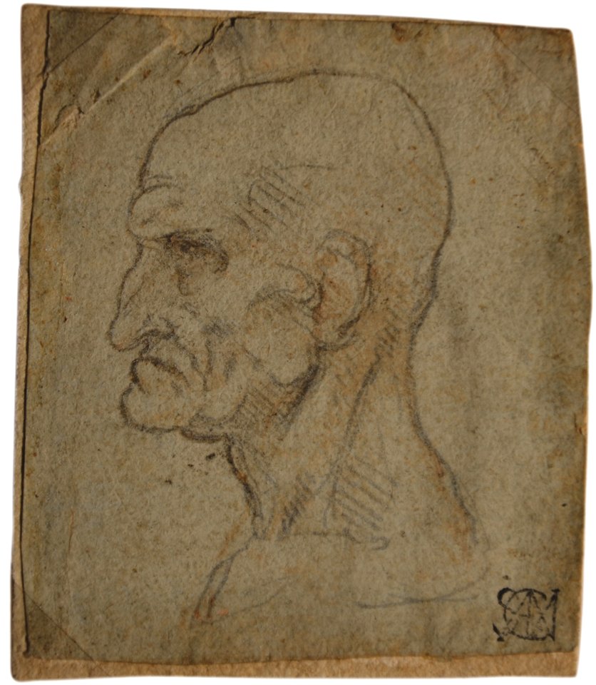 Leonardo da Vinci - Head of a Bald Man, 1610